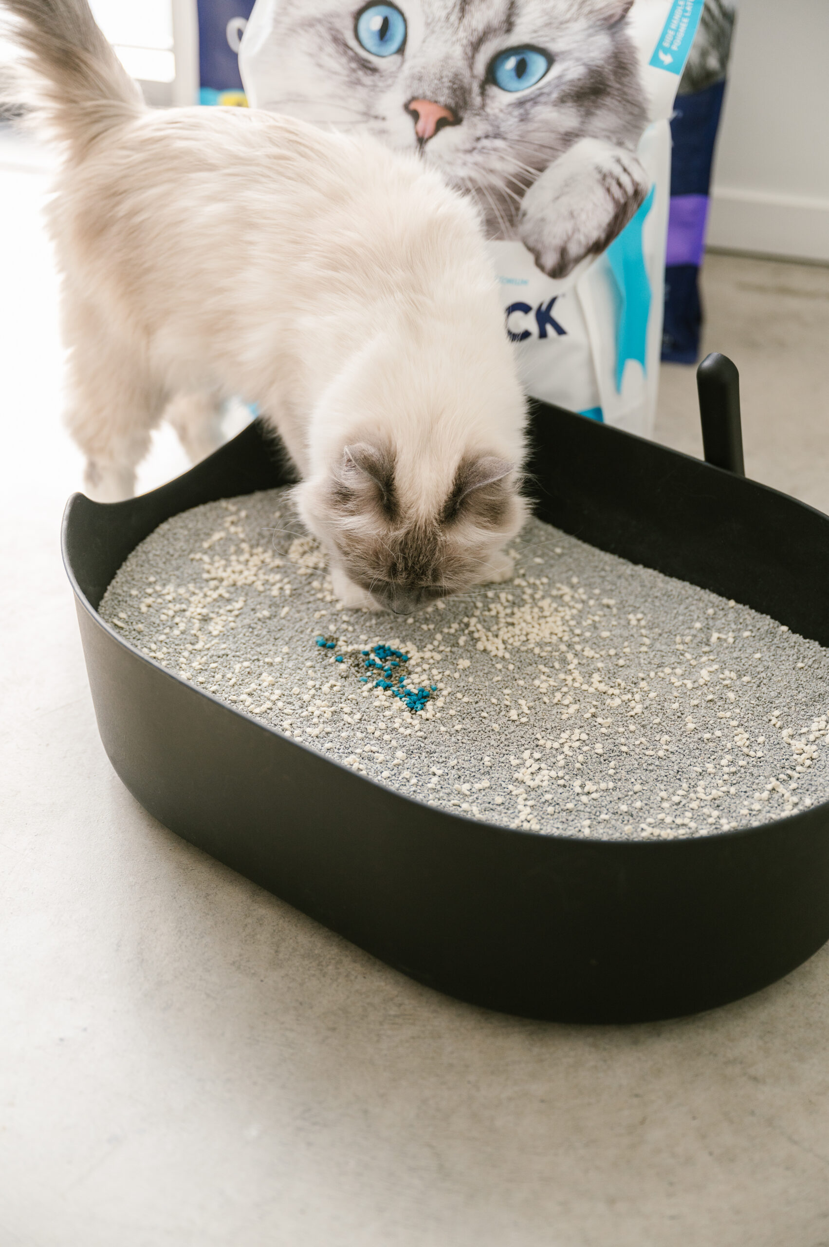 Piedras Aglutinantes