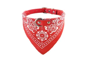 Collar con pañuelo
